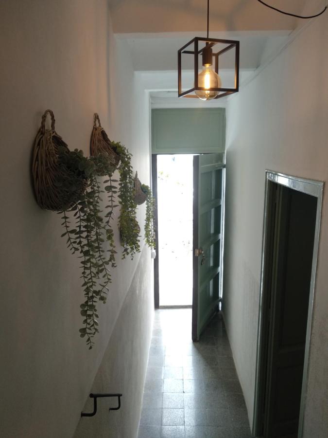 Apartment Silvestre