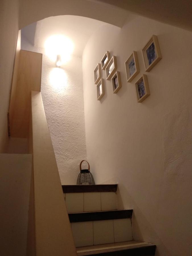 Apartment Silvestre